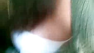 مشت زنی کے ساتھ منظر ماسٹر منی گھوڑے کی realit بادشاہوں